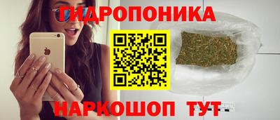 jwh Партизанск