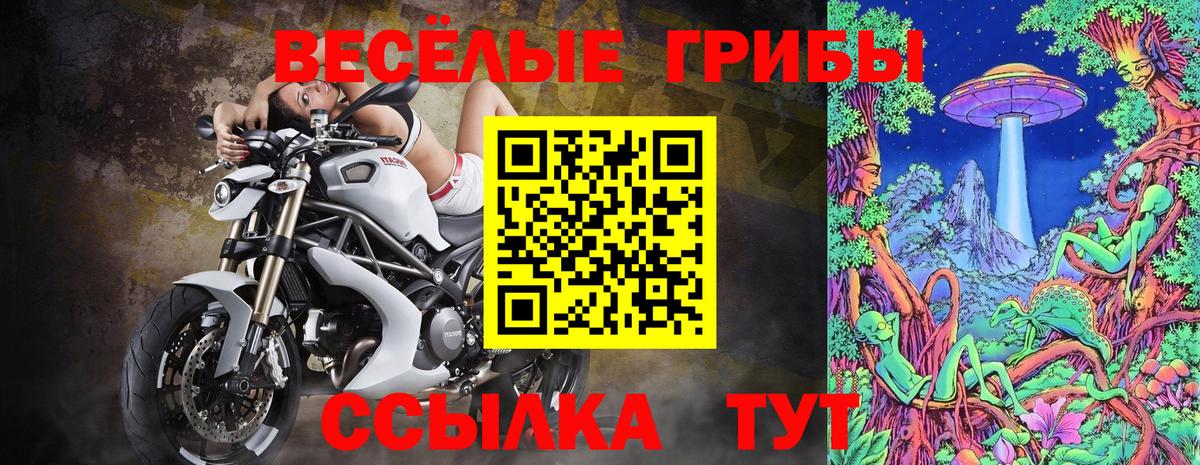 Галлюциногенные грибы GOLDEN TEACHER Пыть-Ях